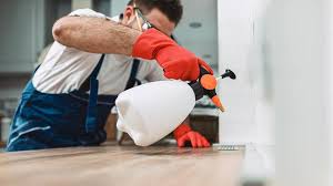 Emergency Pest Control Services in Northlakes, NC